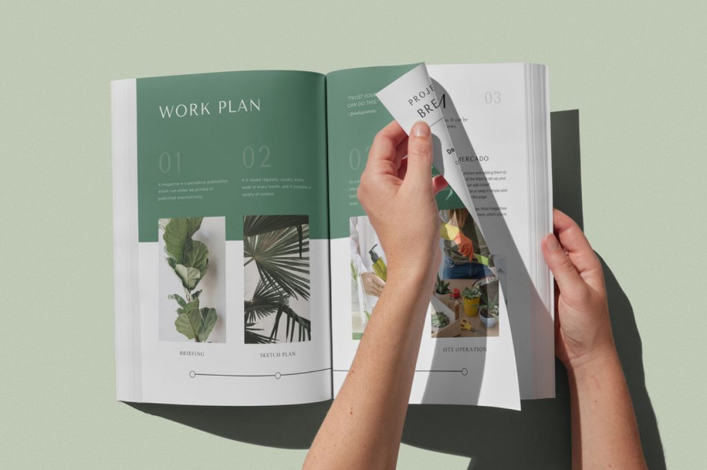 Printed Brochures